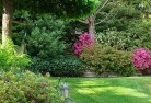 Laidley Heightslandscape-gardener-46.jpg; ?>